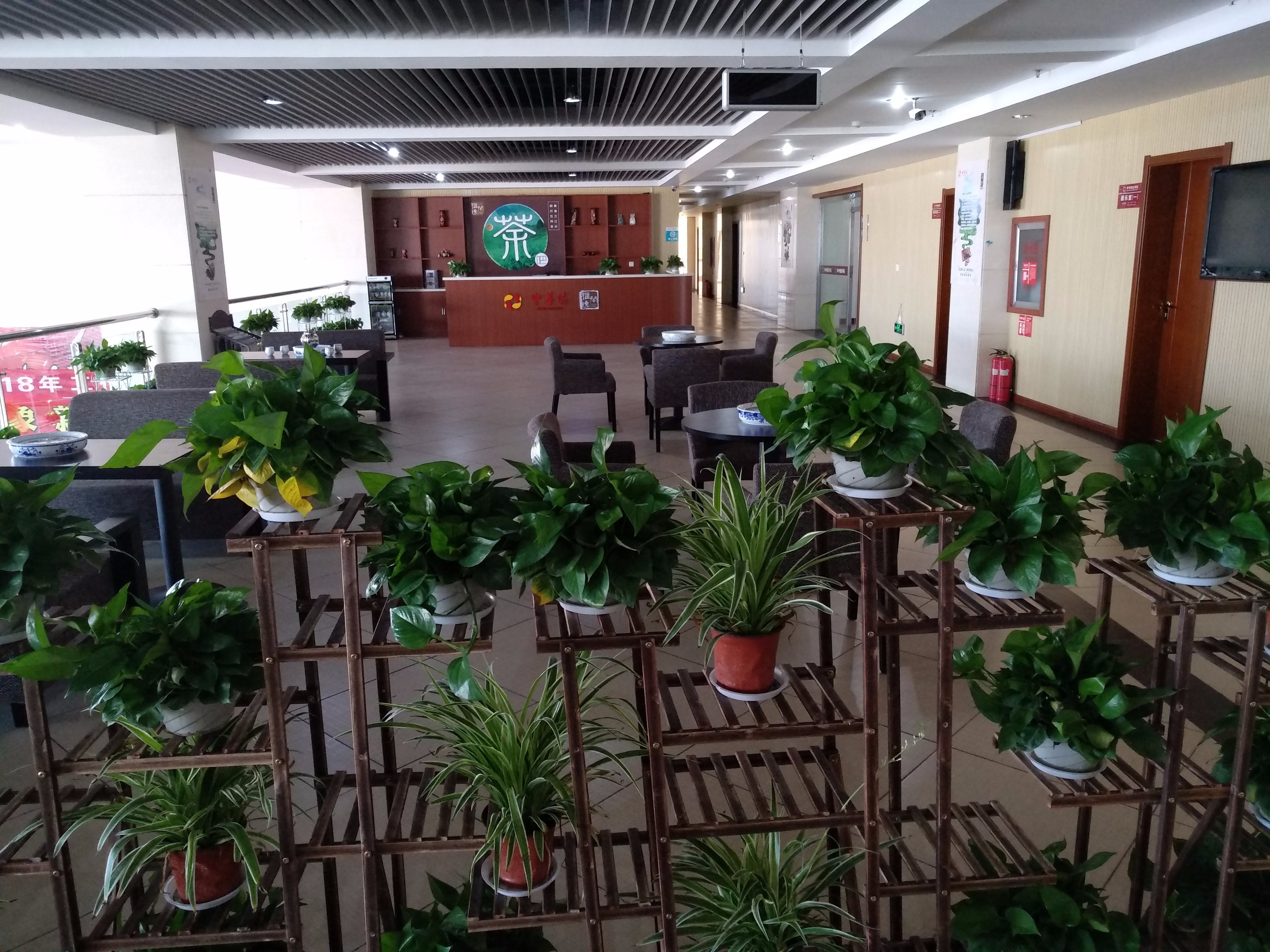 环境展示