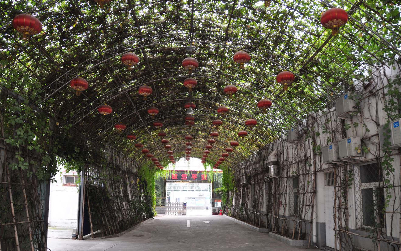 环境展示