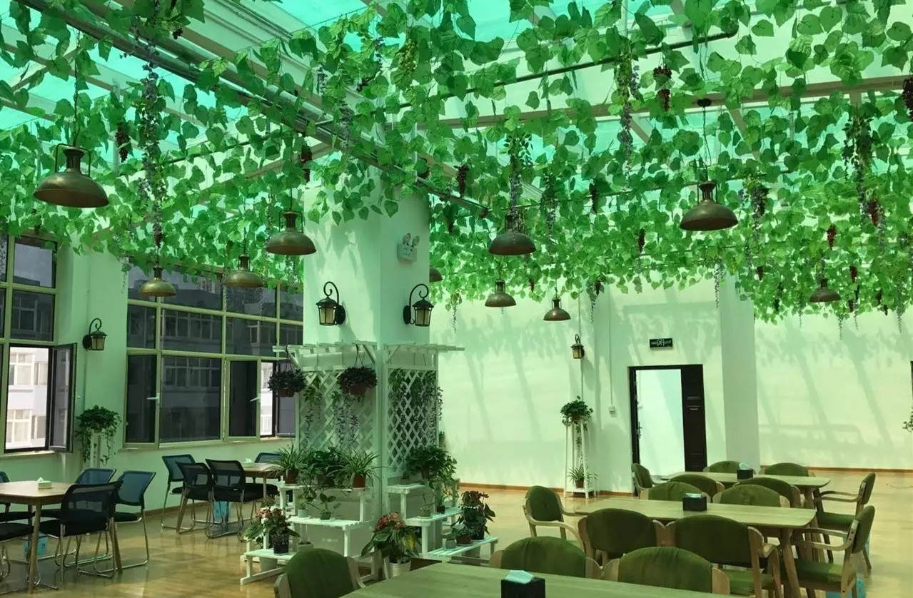 环境展示