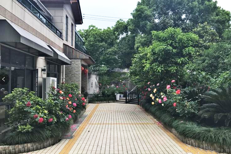 环境展示