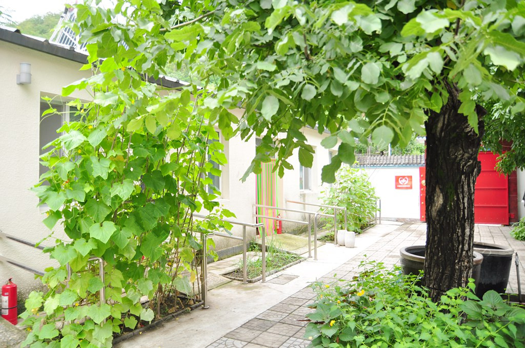 环境展示