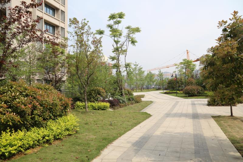 遵义爱心彩虹养老院环境展示