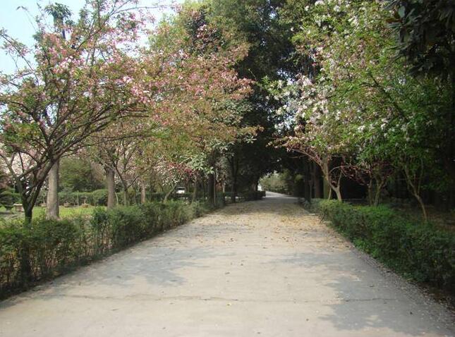 南宁市关爱养老院环境展示