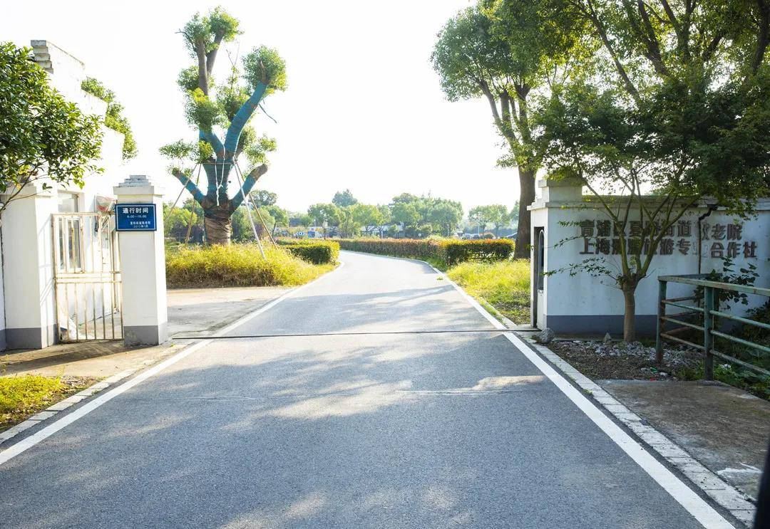 上海市青浦区夏阳街道安康养护院