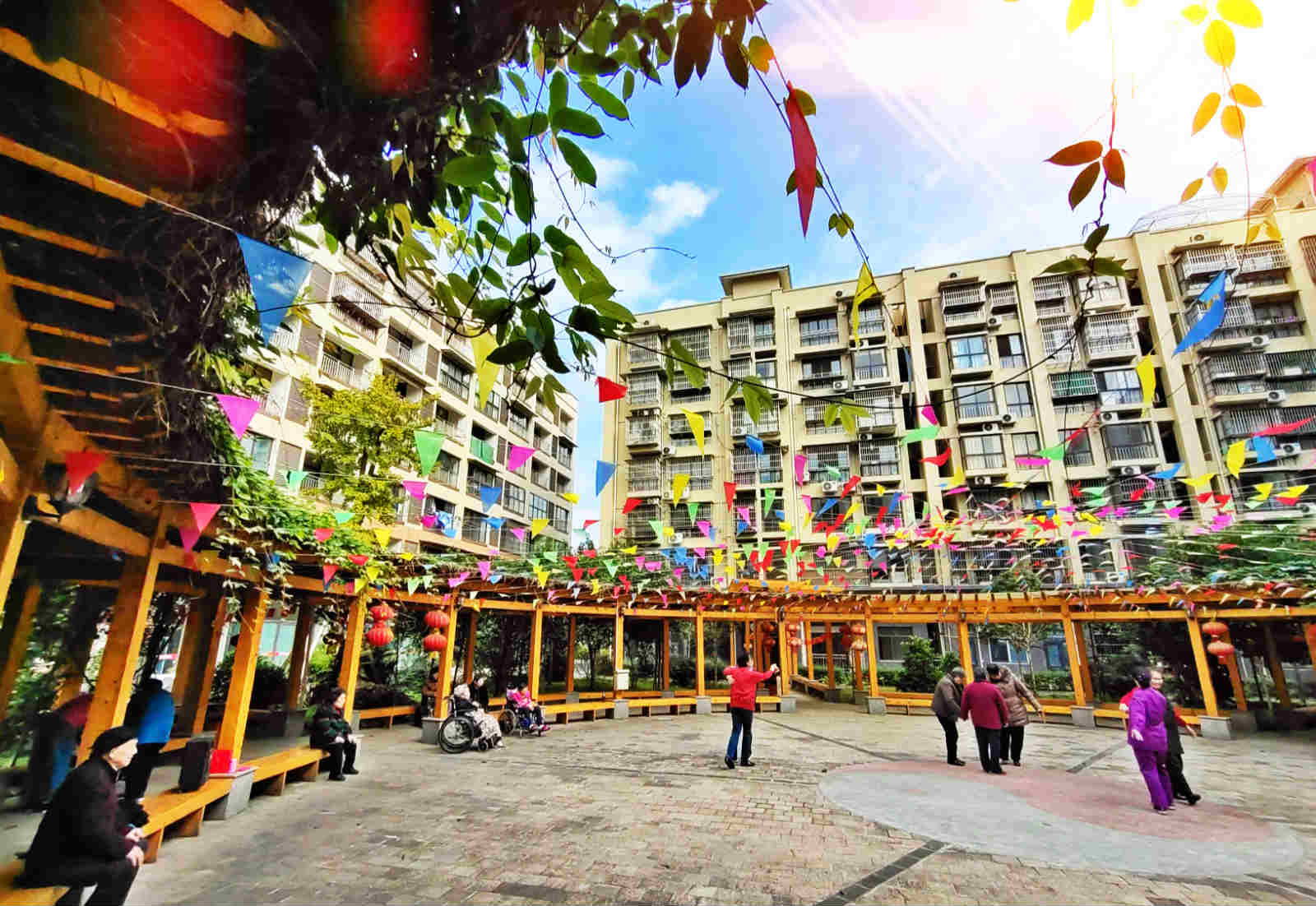 西蜀银杏康乐园环境展示