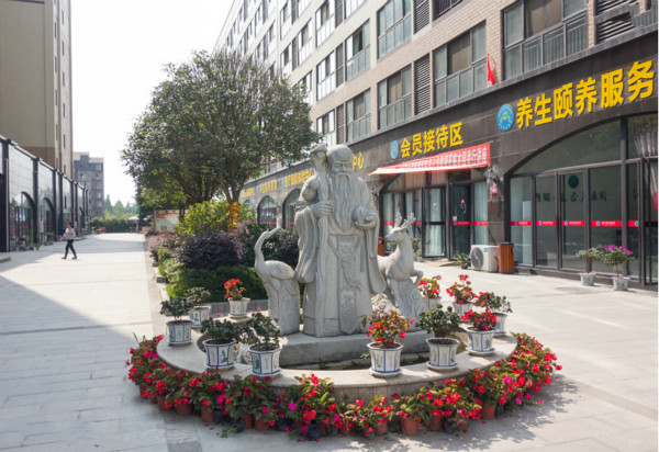 西蜀银杏康乐园环境展示
